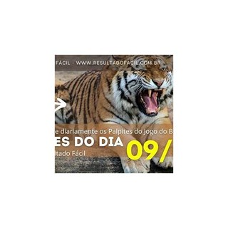 Palpite do Jogo