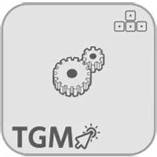 TGM Airplane Simulator Game